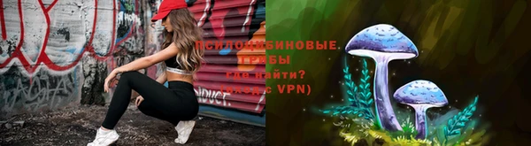 PSILOCYBIN Белокуриха
