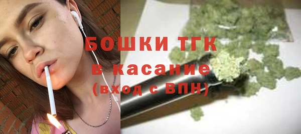 PSILOCYBIN Белокуриха