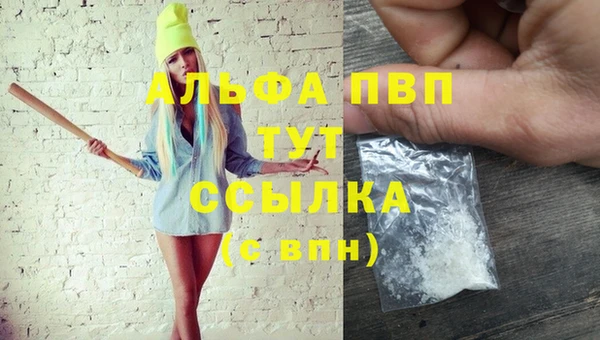 PSILOCYBIN Белокуриха