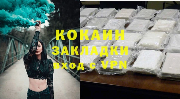 PSILOCYBIN Белокуриха