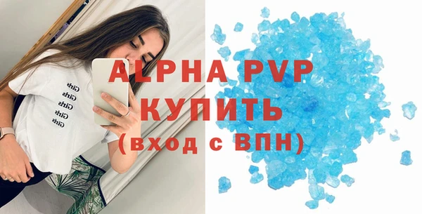 индика Белоозёрский