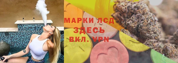 PSILOCYBIN Белокуриха