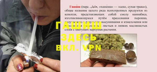 PSILOCYBIN Белокуриха