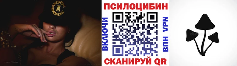 OMG ссылка  Красный Холм  Псилоцибиновые грибы Psilocybe 